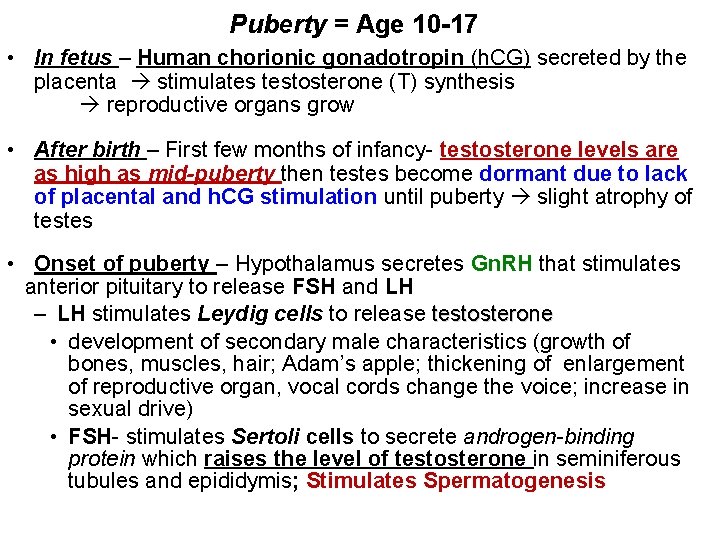 Puberty = Age 10 -17 • In fetus – Human chorionic gonadotropin (h. CG) Puberty = Age 10 -17 • In fetus – Human chorionic gonadotropin (h. CG)