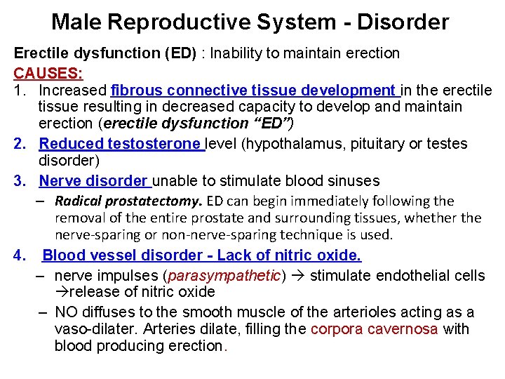 Male Reproductive System - Disorder Erectile dysfunction (ED) : Inability to maintain erection CAUSES: