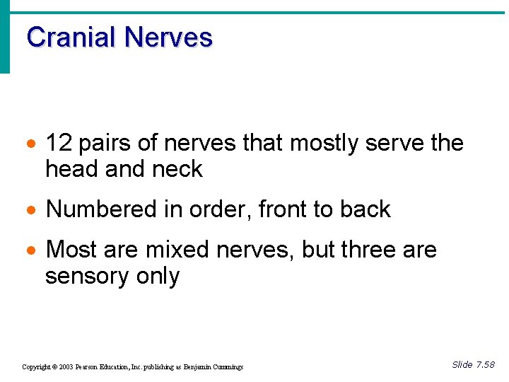 Cranial Nerves · 12 pairs of nerves that mostly serve the head and neck