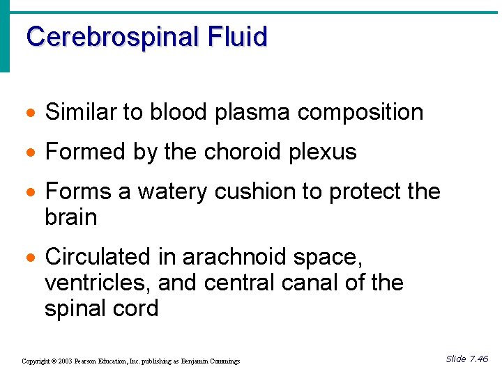 Cerebrospinal Fluid · Similar to blood plasma composition · Formed by the choroid plexus