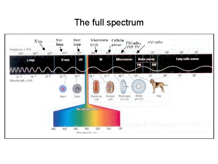 Full Spectrum Examples DMT 125 Materials Science Atomic Structure and Bonding