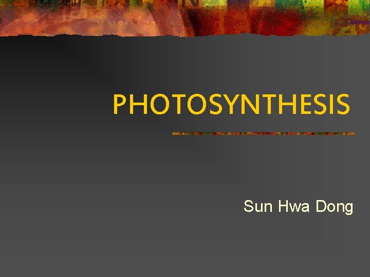 PHOTOSYNTHESIS Sun Hwa Dong 