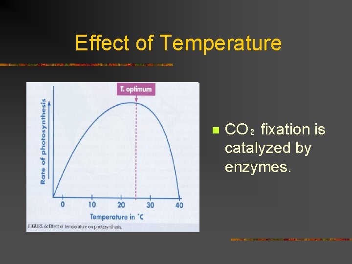 Effect of Temperature n CO₂ fixation is catalyzed by enzymes. 