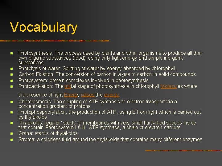 Vocabulary n n n n n Photosynthesis: The process used by plants and other