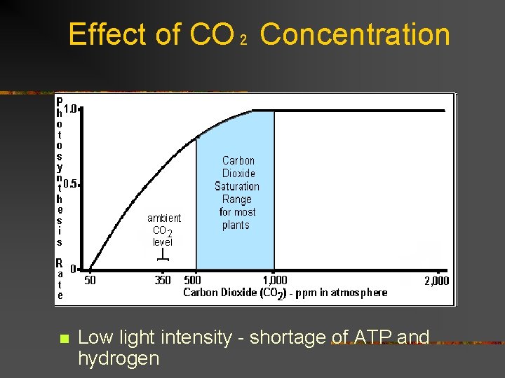 Effect of CO₂ Concentration n Low light intensity - shortage of ATP and hydrogen