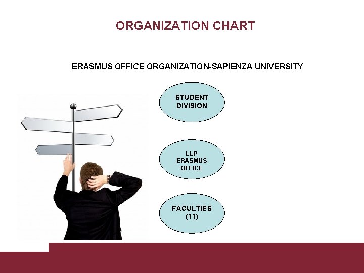 ORGANIZATION CHART ERASMUS OFFICE ORGANIZATION-SAPIENZA UNIVERSITY STUDENT DIVISION LLP ERASMUS OFFICE FACULTIES (11) Tiziana