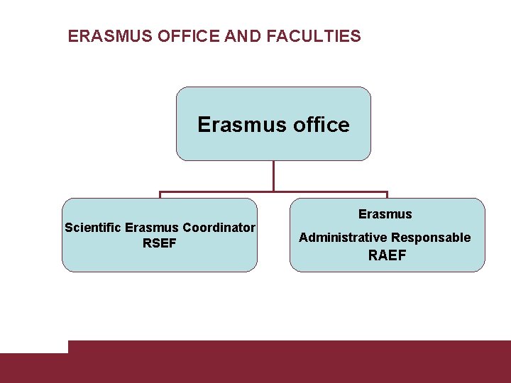 ERASMUS OFFICE AND FACULTIES Erasmus office Scientific Erasmus Coordinator RSEF Tiziana De Matteis Erasmus