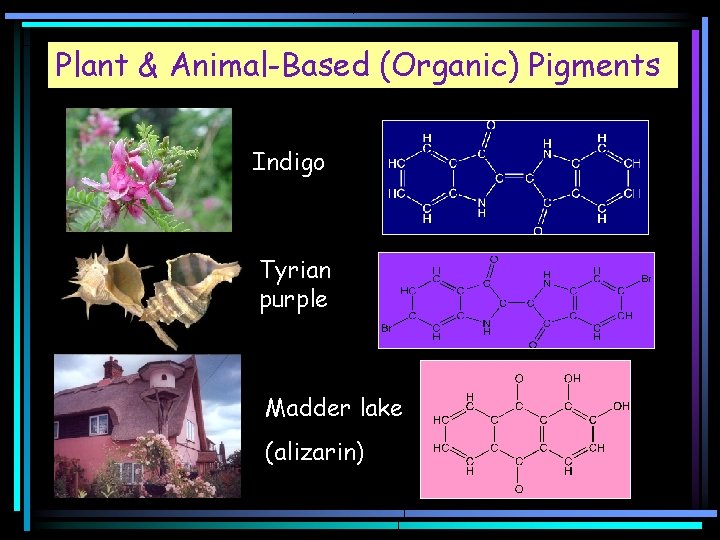 Plant & Animal-Based (Organic) Pigments Indigo Tyrian purple Madder lake (alizarin) 