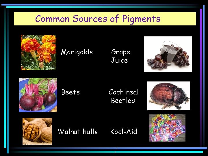 Common Sources of Pigments Marigolds Grape Juice Beets Cochineal Beetles Walnut hulls Kool-Aid 