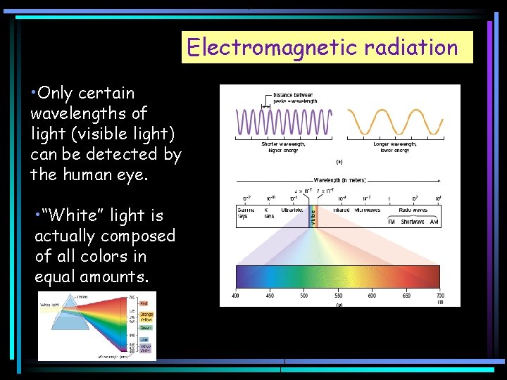 Electromagnetic radiation • Only certain wavelengths of light (visible light) can be detected by