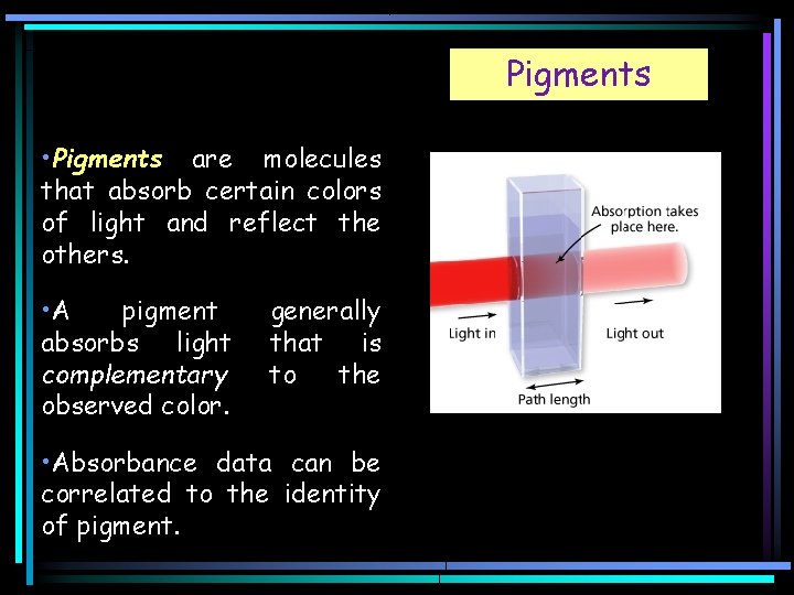 Pigments • Pigments are molecules that absorb certain colors of light and reflect the