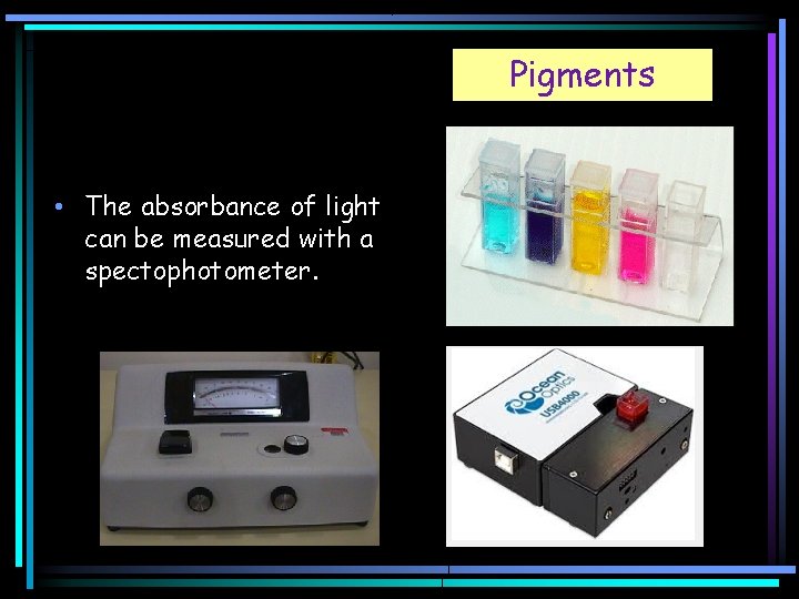 Pigments • The absorbance of light can be measured with a spectophotometer. 