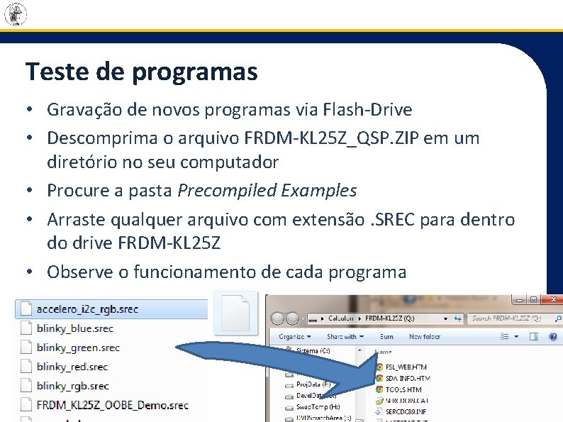 Teste de programas 39 • Gravação de novos programas via Flash-Drive • Descomprima o