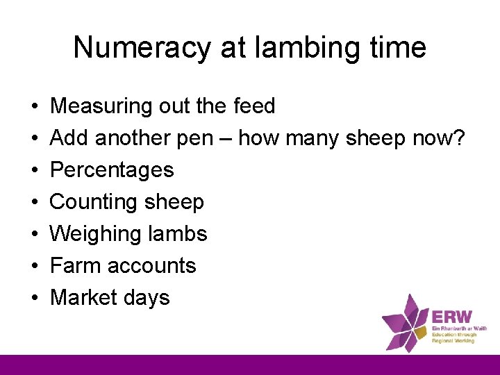 Numeracy at lambing time • • Measuring out the feed Add another pen –