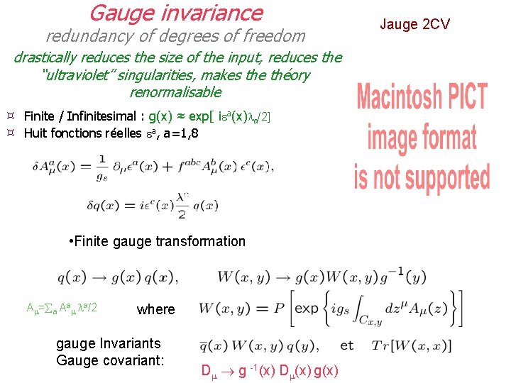 Gauge invariance redundancy of degrees of freedom drastically reduces the size of the input,