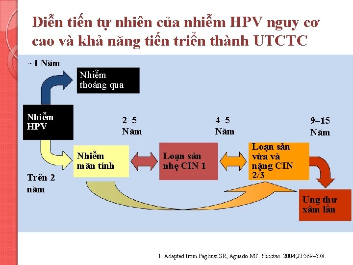 Diễn tiến tự nhiên của nhiễm HPV nguy cơ cao và khả năng tiến