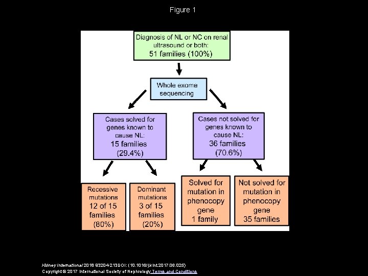 Figure 1 Kidney International 2018 93204 -213 DOI: (10. 1016/j. kint. 2017. 06. 025)