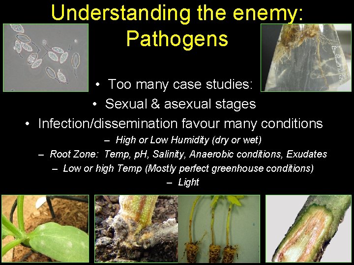 Understanding the enemy: Pathogens • Too many case studies: • Sexual & asexual stages