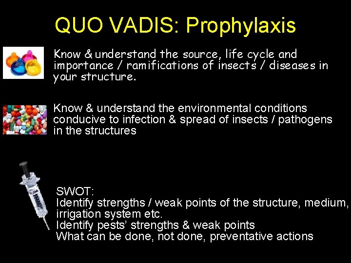 QUO VADIS: Prophylaxis Know & understand the source, life cycle and importance / ramifications