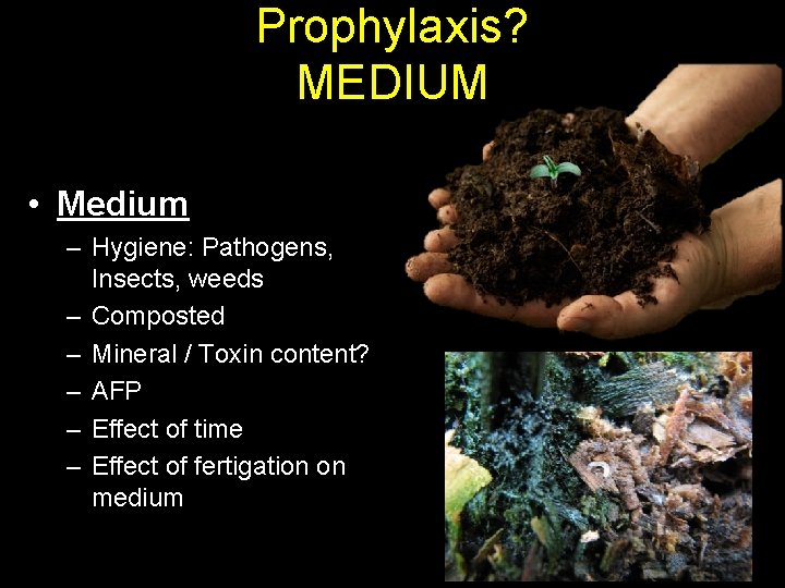 Prophylaxis? MEDIUM • Medium – Hygiene: Pathogens, Insects, weeds – Composted – Mineral /