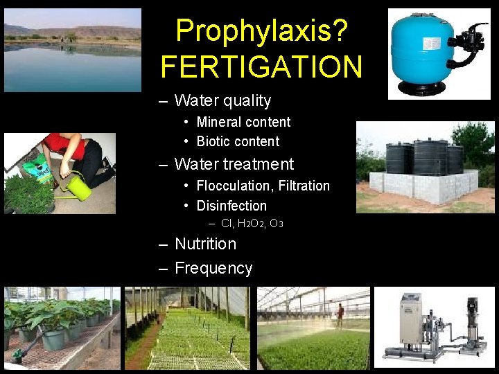 Prophylaxis? FERTIGATION – Water quality • Mineral content • Biotic content – Water treatment