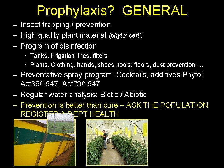 Prophylaxis? GENERAL – Insect trapping / prevention – High quality plant material (phyto’ cert’)