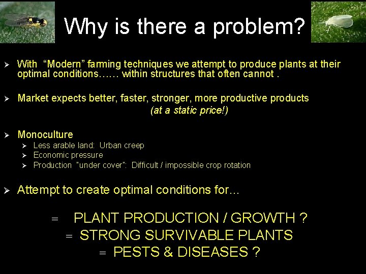 Why is there a problem? Ø With “Modern” farming techniques we attempt to produce