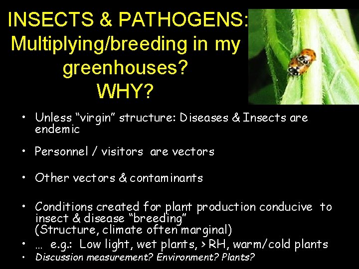 INSECTS & PATHOGENS: Multiplying/breeding in my greenhouses? WHY? • Unless “virgin” structure: Diseases &