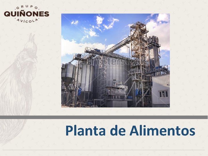 Planta de Alimentos 