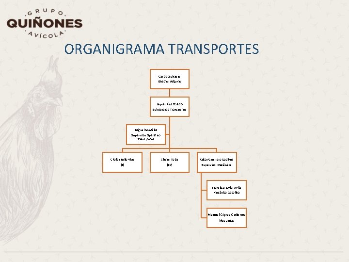 ORGANIGRAMA TRANSPORTES Carlos Quintero Director Adjunto Leyver Ríos Toledo Sub gerente Transportes Miguel González