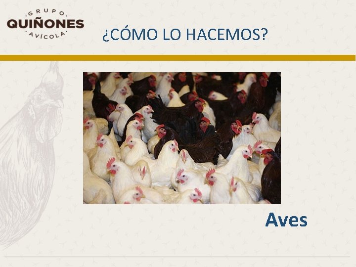 ¿CÓMO LO HACEMOS? Aves 