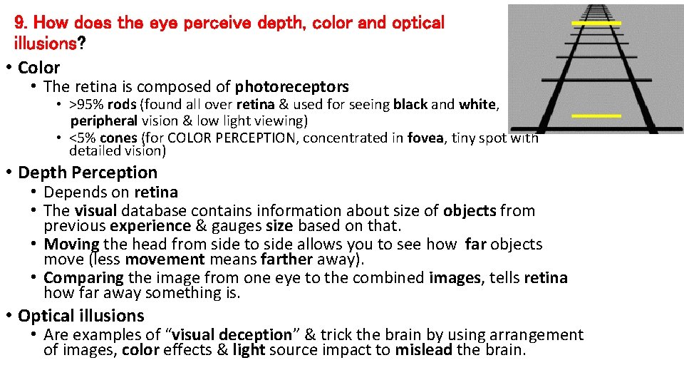 9. How does the eye perceive depth, color and optical illusions? • Color • 9. How does the eye perceive depth, color and optical illusions? • Color •