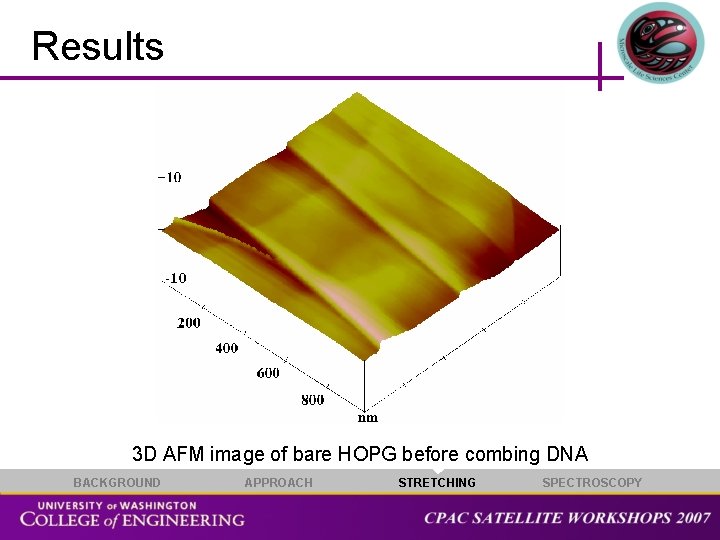 Results 3 D AFM image of bare HOPG before combing DNA BACKGROUND APPROACH STRETCHING