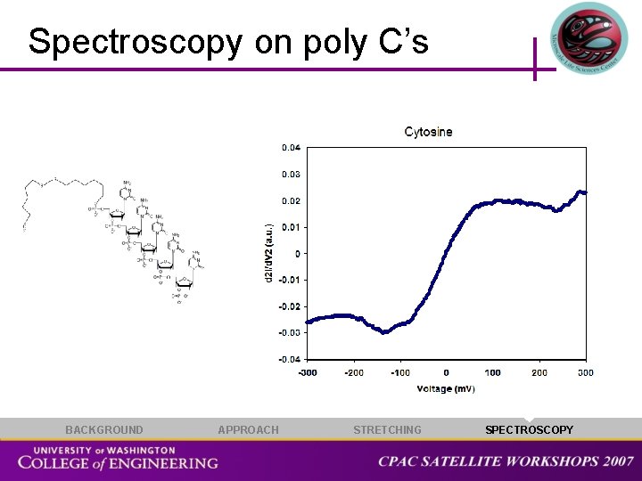 Spectroscopy on poly C’s BACKGROUND APPROACH STRETCHING SPECTROSCOPY 