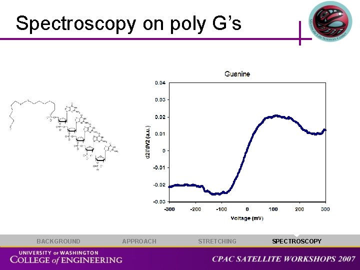 Spectroscopy on poly G’s BACKGROUND APPROACH STRETCHING SPECTROSCOPY 