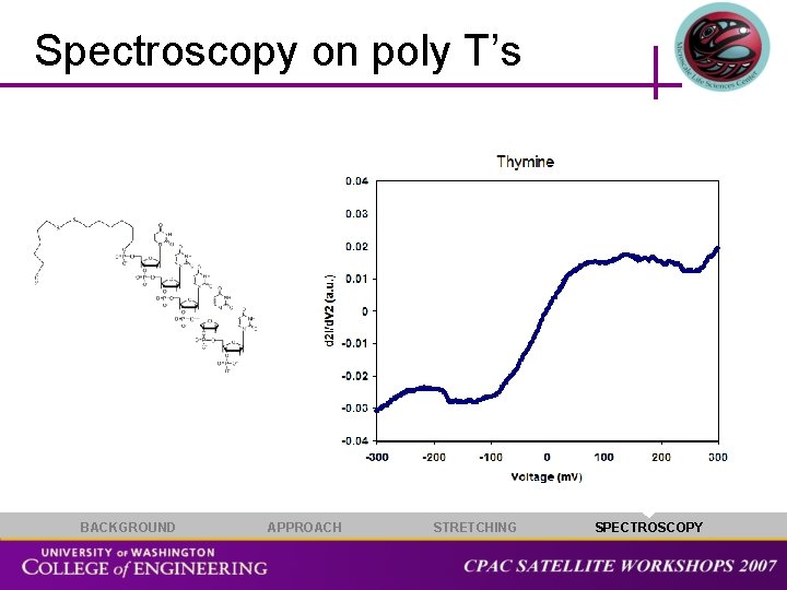 Spectroscopy on poly T’s BACKGROUND APPROACH STRETCHING SPECTROSCOPY 