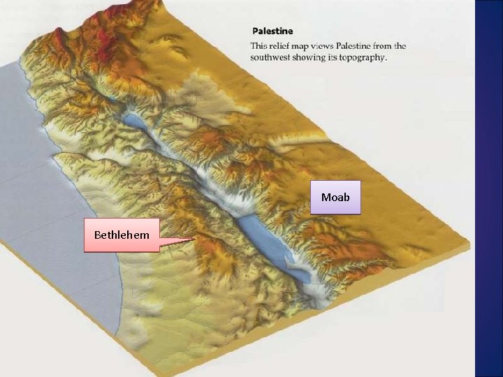 Moab Bethlehem Moab Bethlehem