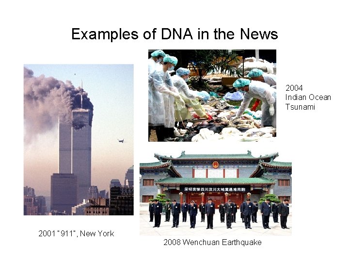 Examples of DNA in the News 2004 Indian Ocean Tsunami 2001 “ 911”, New