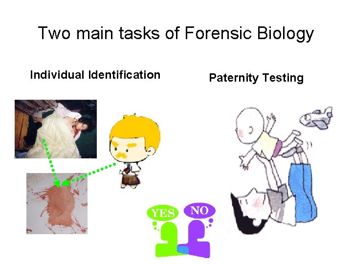 Two main tasks of Forensic Biology Individual Identification Paternity Testing 