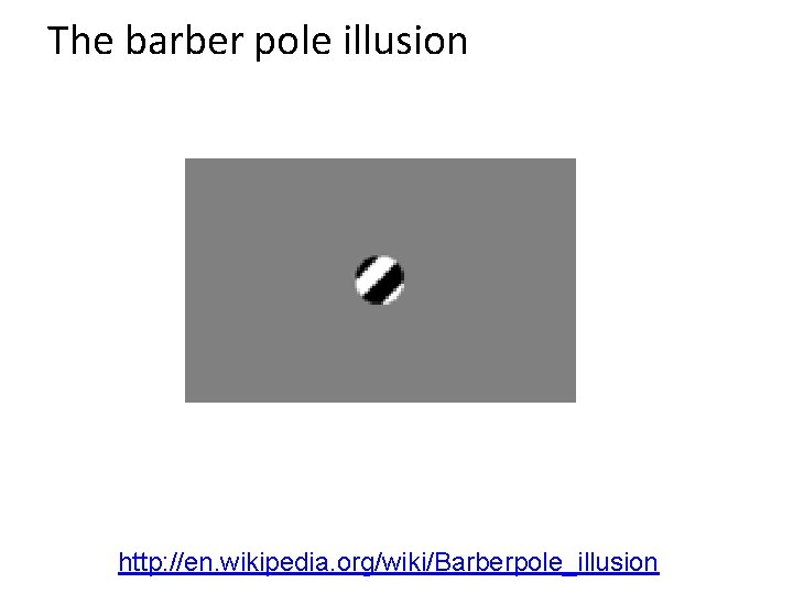 The barber pole illusion http: //en. wikipedia. org/wiki/Barberpole_illusion 