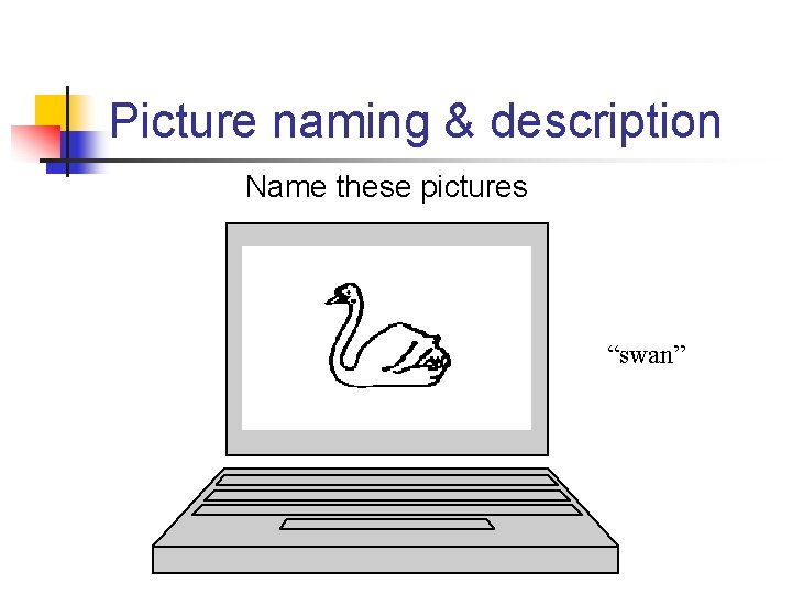 Picture naming & description Name these pictures “swan” 