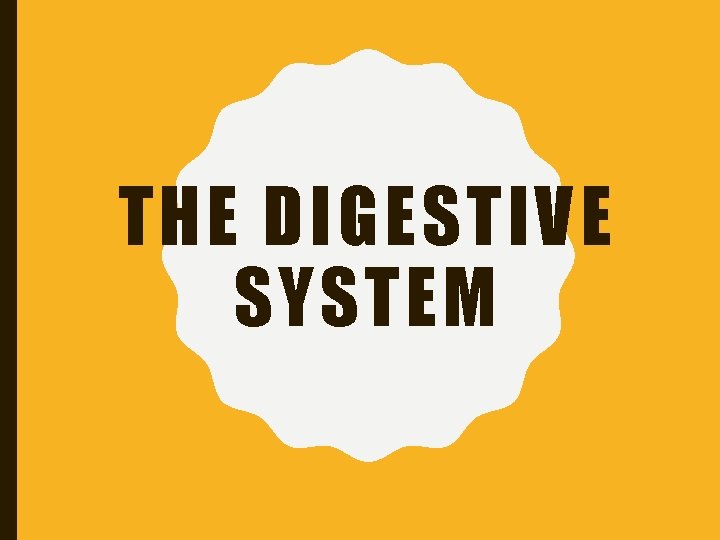 THE DIGESTIVE SYSTEM 