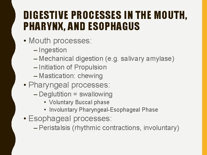 DIGESTIVE PROCESSES IN THE MOUTH, PHARYNX, AND ESOPHAGUS • Mouth processes: – Ingestion –