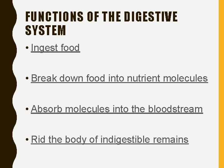 FUNCTIONS OF THE DIGESTIVE SYSTEM • Ingest food • Break down food into nutrient