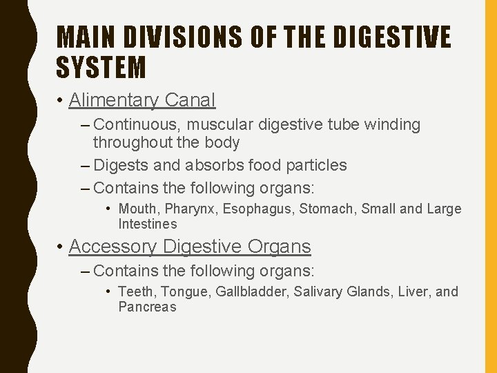 MAIN DIVISIONS OF THE DIGESTIVE SYSTEM • Alimentary Canal – Continuous, muscular digestive tube
