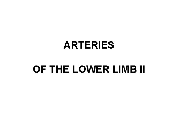 ARTERIES OF THE LOWER LIMB II 