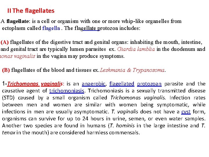 II The flagellates A flagellate: is a cell or organism with one or more II The flagellates A flagellate: is a cell or organism with one or more