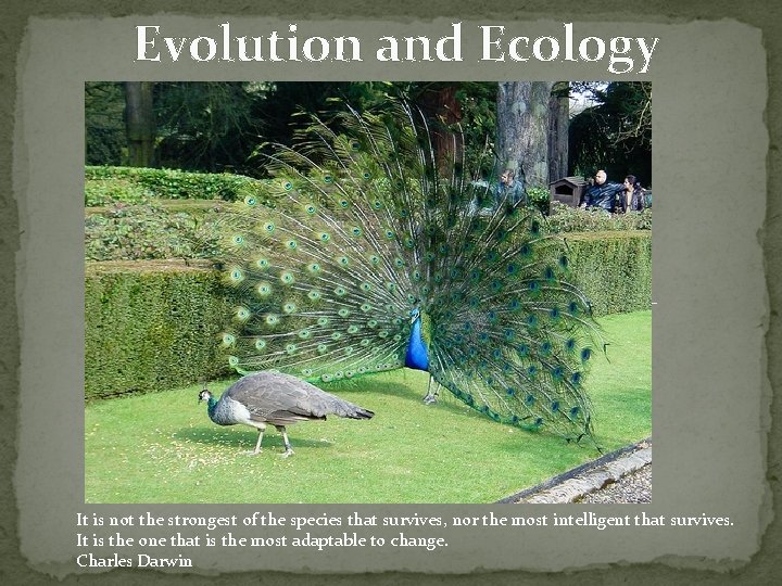 Evolution and Ecology It is not the strongest of the species that survives, nor