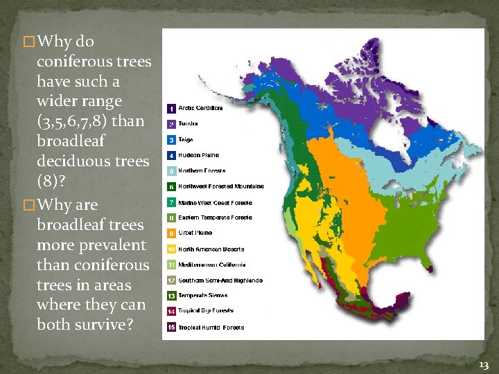 � Why do coniferous trees have such a wider range (3, 5, 6, 7,