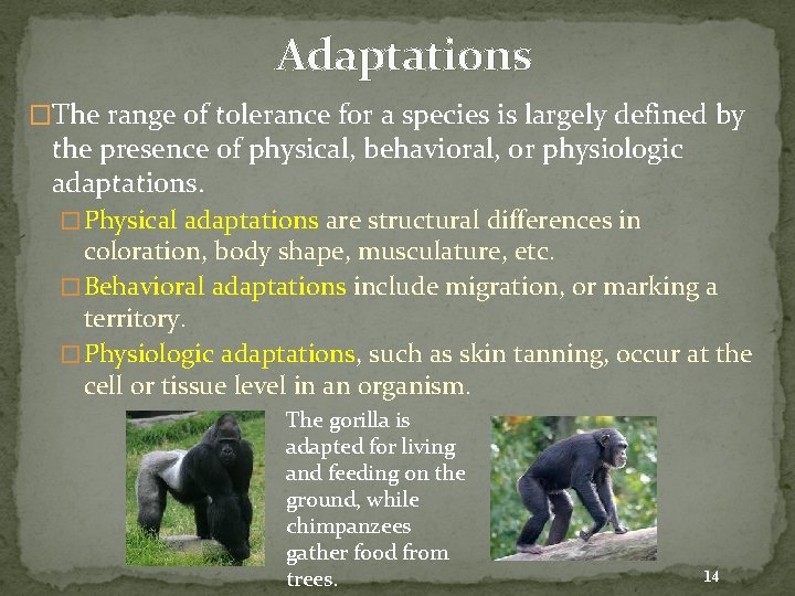 Adaptations �The range of tolerance for a species is largely defined by the presence